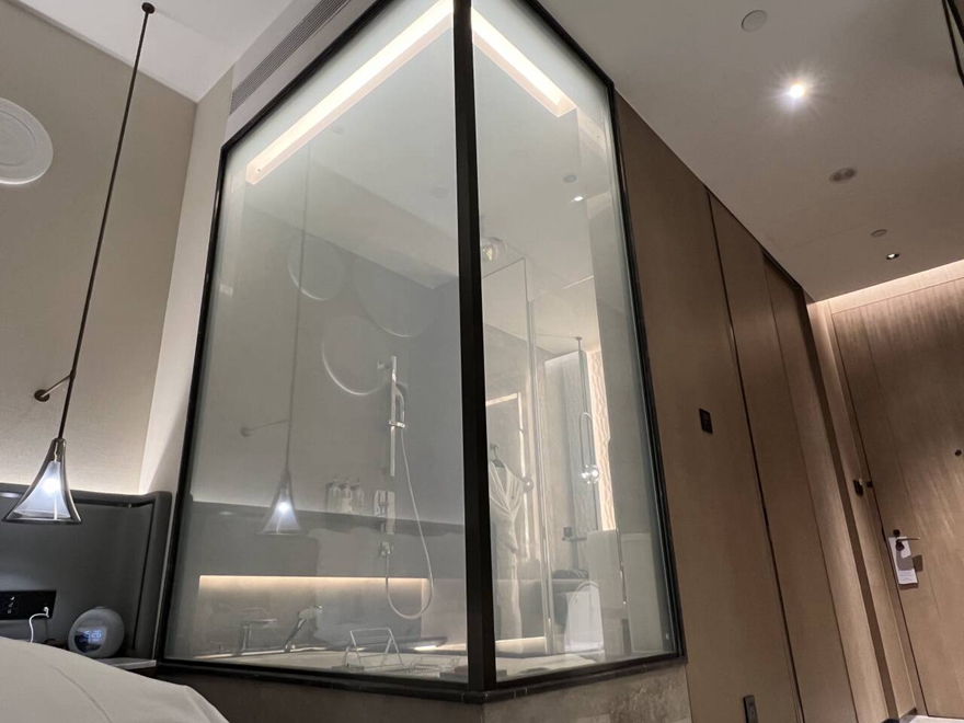 Glass bathroom shower door