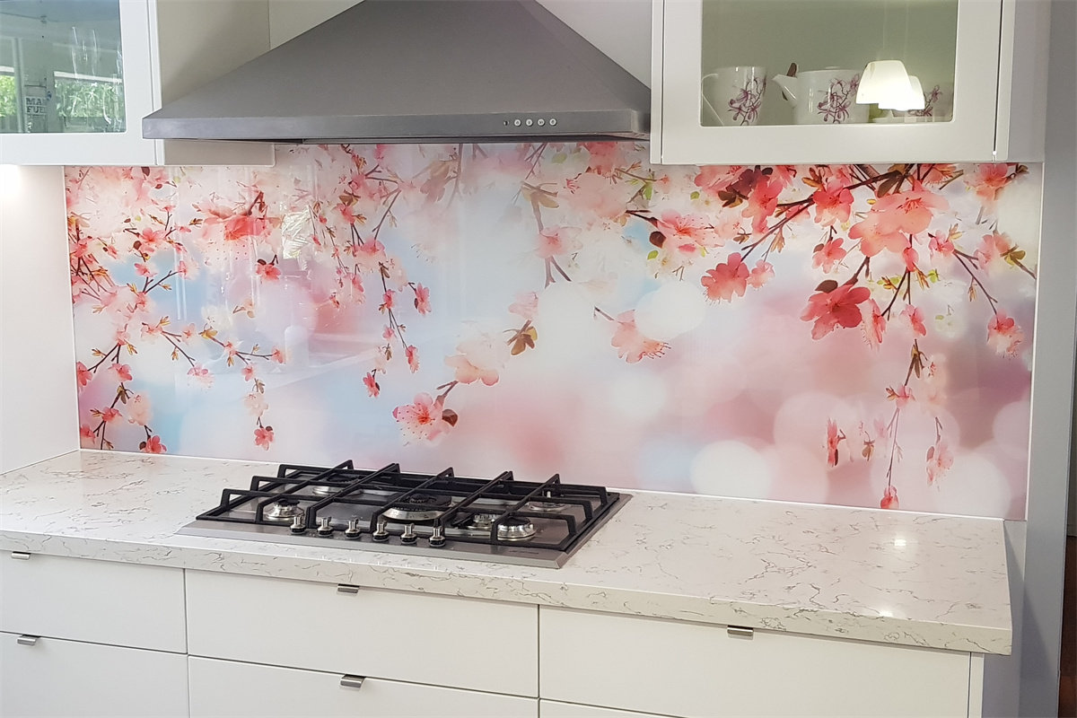 Glass Wall Splash Back