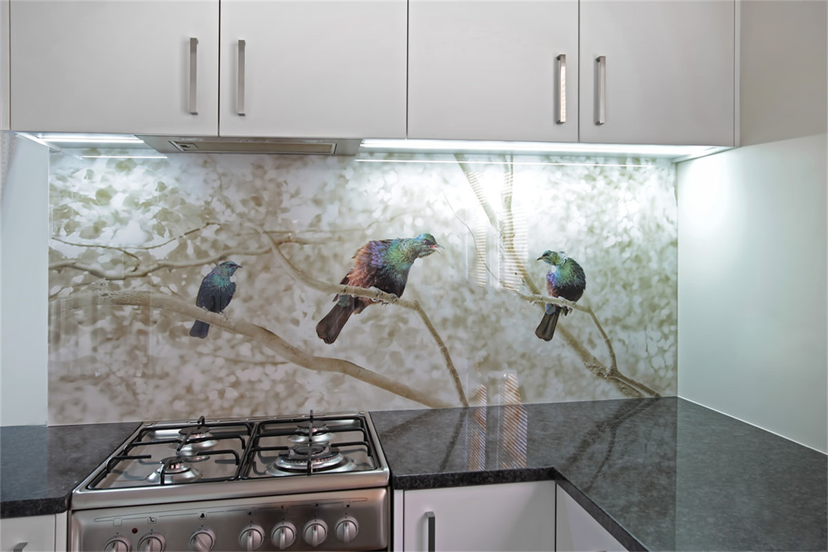 Glass Wall Splash Back4
