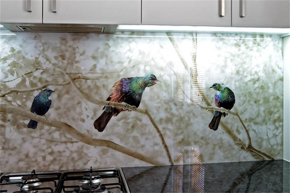 Glass Wall Splash Back5