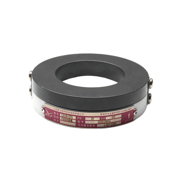Positive Dome Rupture Disc Holder