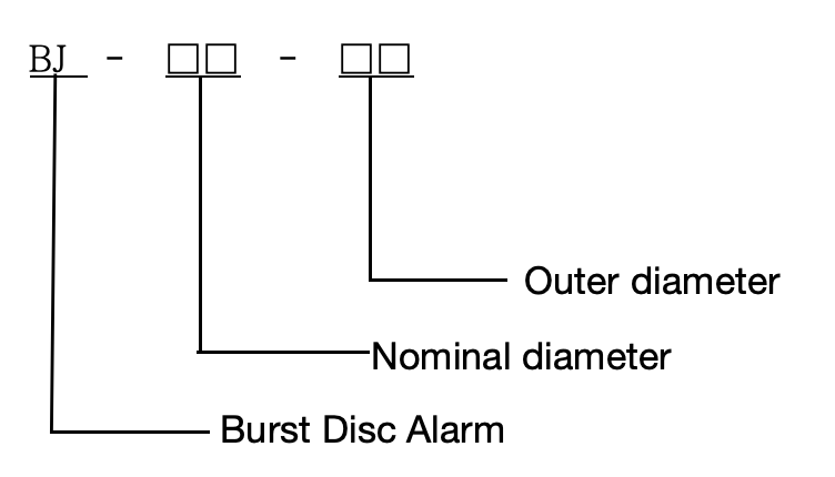Rupture disc indicators