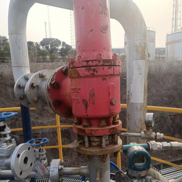 Bursting discs for chemical and petrochemical industry