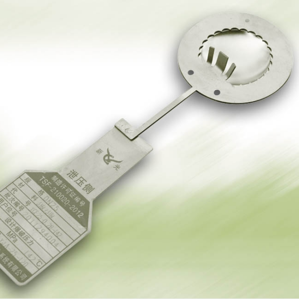 Food And Pharmaceutical Industry Bursting Discs