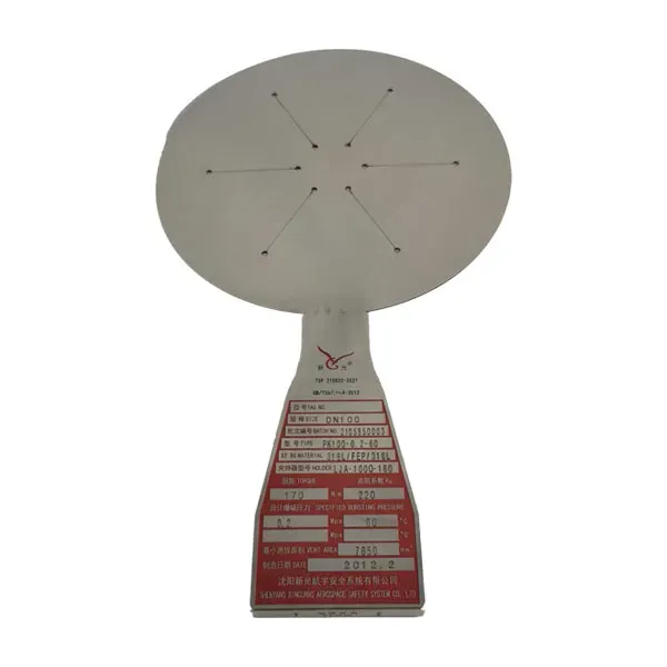 Anwendung von Berstscheiben in der Energiespeicherindustrie