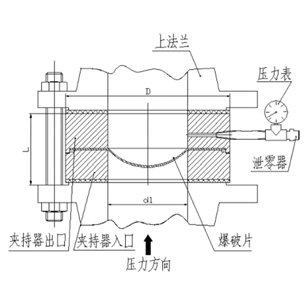 Após decidir comprar um disco de ruptura, quais informações você precisa fornecer?