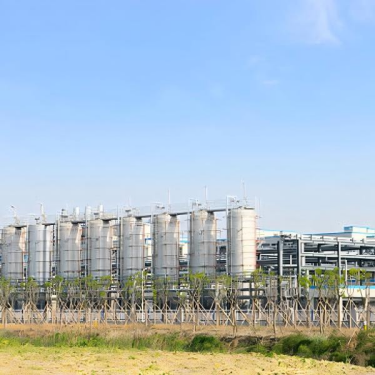 graphite rupture discs