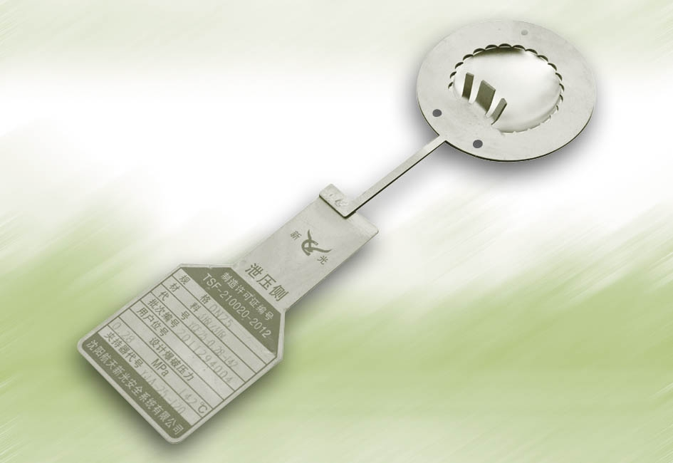 food industry bursting discs