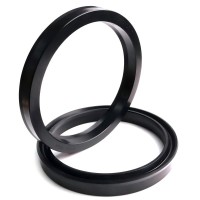 Factory Direct Selling Wear Resistance USH Type High Quality FKM NBR Rubber Hydraulic Seal Kit