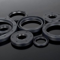 Different Sizes and High Quality NBR Material TC Oil Seals for Auto Parts Hydraulic Seal