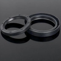 Different Sizes and High Quality NBR Material TC Oil Seals for Auto Parts Hydraulic Seal