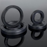 Different Sizes and High Quality NBR Material TC Oil Seals for Auto Parts Hydraulic Seal
