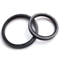 Different Sizes and High Quality NBR Material TC Oil Seals for Auto Parts Hydraulic Seal