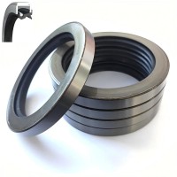High Pressure Stainless Metal case TCN TCV Oil Seal with Lips NBR FKM