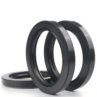 NOK Hydraulic TCV TCN Type NBR FKM Rubber Rotary Shaft Oil Seal High Pressure