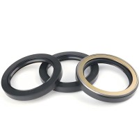 NOK Hydraulic TCV TCN Type NBR FKM Rubber Rotary Shaft Oil Seal High Pressure