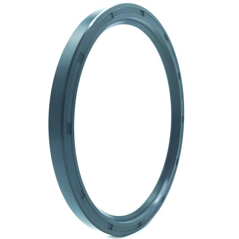 Wholesales TC SC Oil Seals NBR FKM for Hydraulic Piston Rod