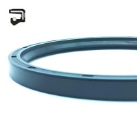 Wholesales TC SC Oil Seals NBR FKM for Hydraulic Piston Rod