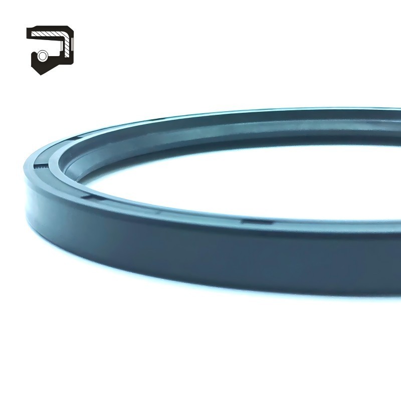 Wholesales TC SC Oil Seals NBR FKM for Hydraulic Piston Rod