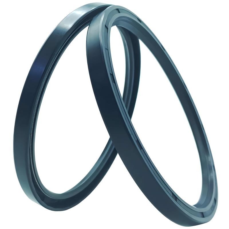 Wholesales TC SC Oil Seals NBR FKM for Hydraulic Piston Rod