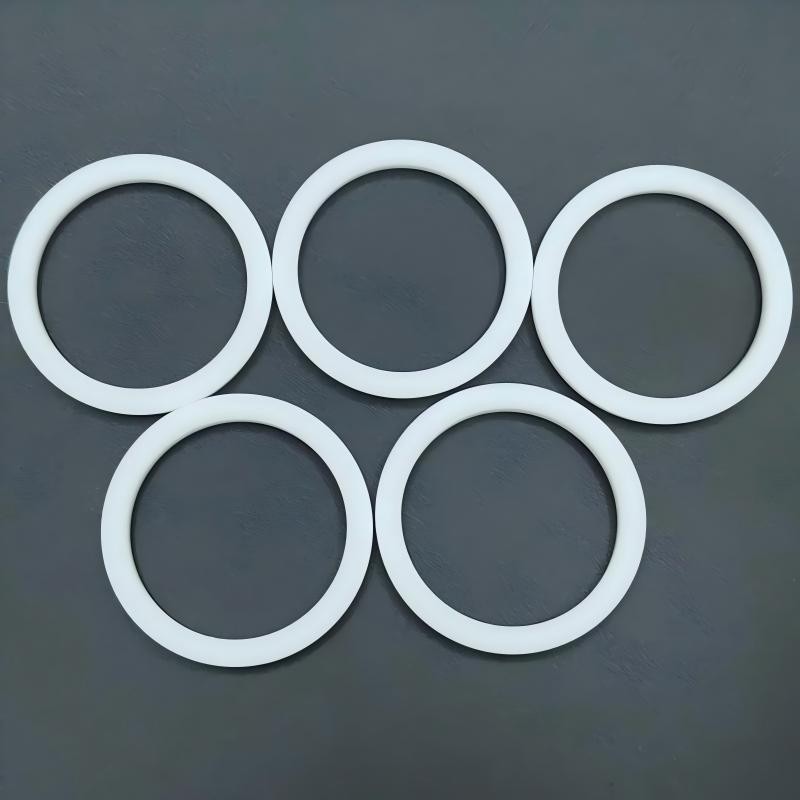 PTFE POM Gasket for Hydraulic Pneumatic Sealing