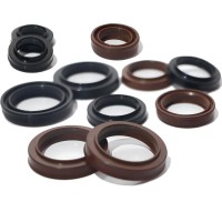 WAI 40mm Type OEM FKM Dust Seal Hydraulic Pneumatic for Cylinder Piston Rod