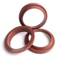 WAI 40mm Type OEM FKM Dust Seal Hydraulic Pneumatic for Cylinder Piston Rod