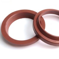WAI 40mm Type OEM FKM Dust Seal Hydraulic Pneumatic for Cylinder Piston Rod