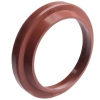 WAI 40mm Type OEM FKM Dust Seal Hydraulic Pneumatic for Cylinder Piston Rod