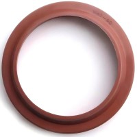 WAI 40mm Type OEM FKM Dust Seal Hydraulic Pneumatic for Cylinder Piston Rod