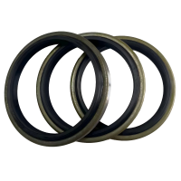 High Quality DKB DKBI DLI Rubber Metal Dust Wiper Seal for Hydraulic Systems