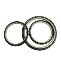 High Press Resistance Brown Gree Bronze Filled PTFE with NBR FKM O Ring for Hydraulic Rod Seal Signal Acting S09-E