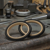 High Press Resistance Brown Gree Bronze Filled PTFE with NBR FKM O Ring for Hydraulic Rod Seal Signal Acting S09-E