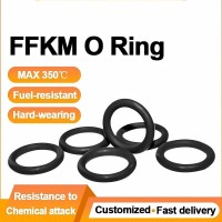 FFKM Rubber O Ring Perfluoroelastomer Materials Provide the Highest Temperature and Acid Resistance