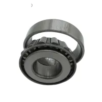 Bering 30312 30313 30314 30315 30316 30317 30318 30319 Taper Roller Bearing