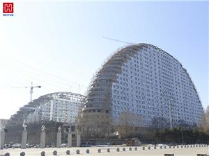 Large International Hospital