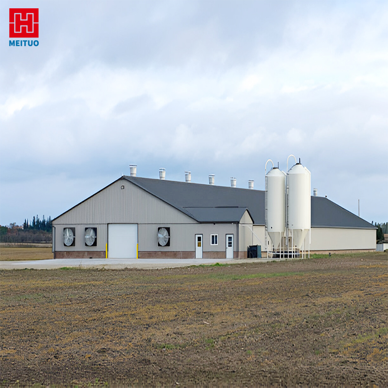 Prefabricated Steel Structure Poultry House