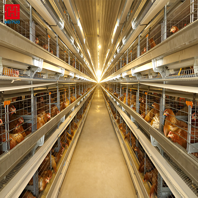Prefabricated Steel Structure Poultry House