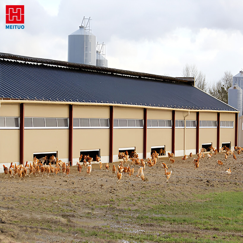 Prefabricated Steel Structure Poultry House