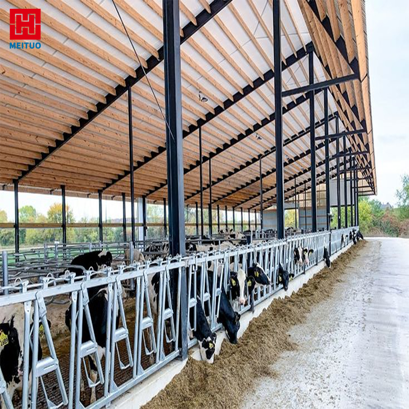 Metal Building Cow Farm Steel Structure