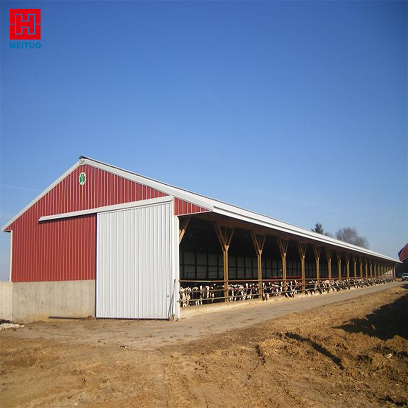 Metal Building Cow Farm Steel Structure