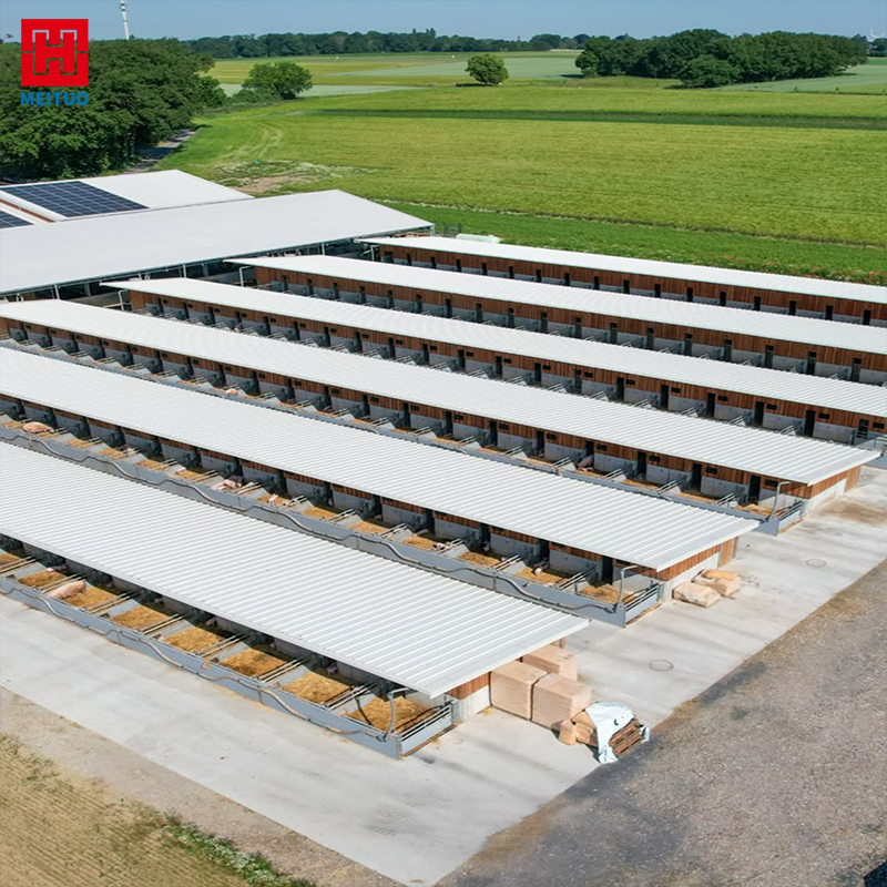 Metal Building Cow Farm Steel Structure