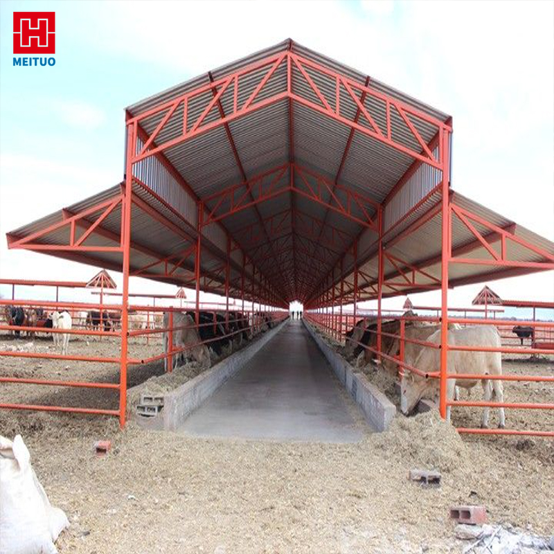 Metal Building Cow Farm Steel Structure