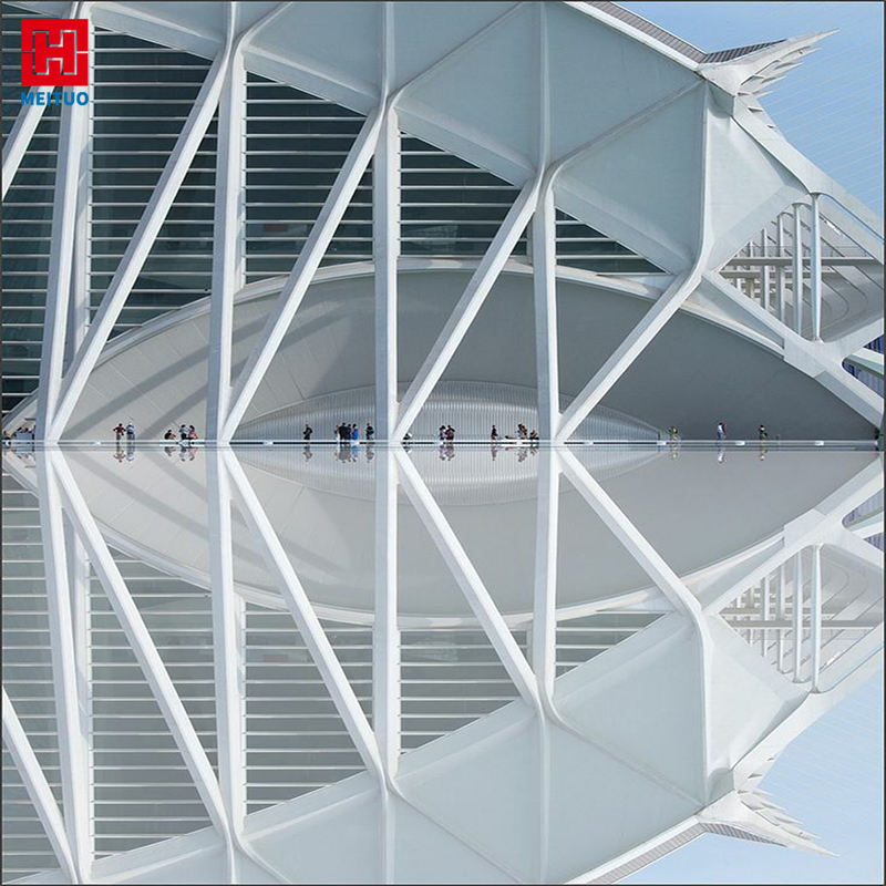 Heavy Weight Steel Structure Building