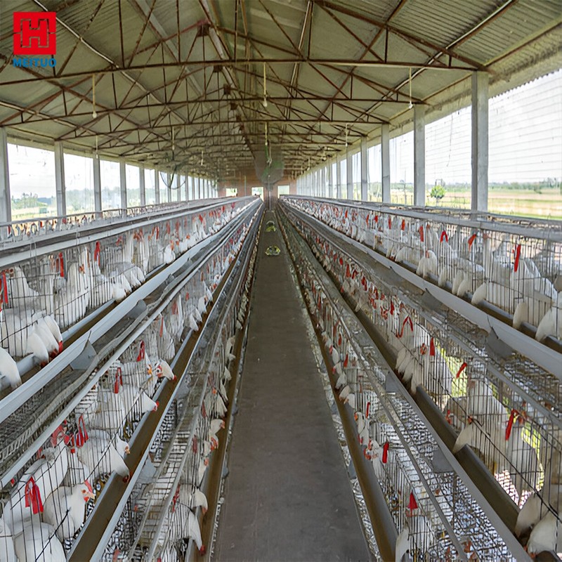 Prefab Steel Cattle Farm Building