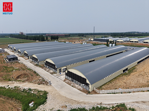 Um novo marco na agricultura inteligente: o projeto do galinheiro com estrutura de aço Shenyang Meituo foi entregue com sucesso