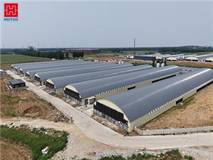 Новая веха в развитии интеллектуального земледелия: проект строительства курятника из стальных конструкций Шэньян Мэйтуо успешно завершен