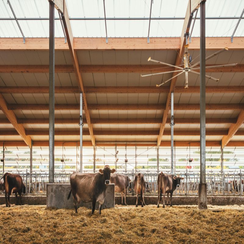 Comprar Estufa Agrícola de Aço,Estufa Agrícola de Aço Preço,Estufa Agrícola de Aço   Marcas,Estufa Agrícola de Aço Fabricante,Estufa Agrícola de Aço Mercado,Estufa Agrícola de Aço Companhia,