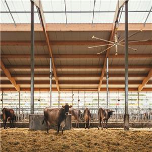 Estufa Agrícola de Aço