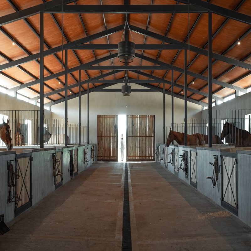 Estrutura de Aço Agrícola